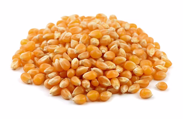 Popcorn