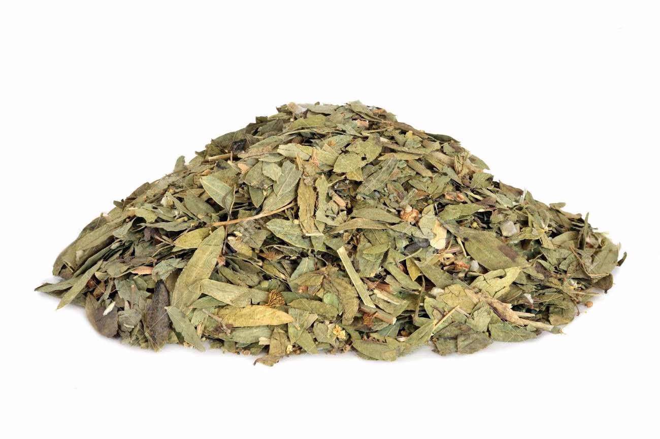 Hoja de Sen